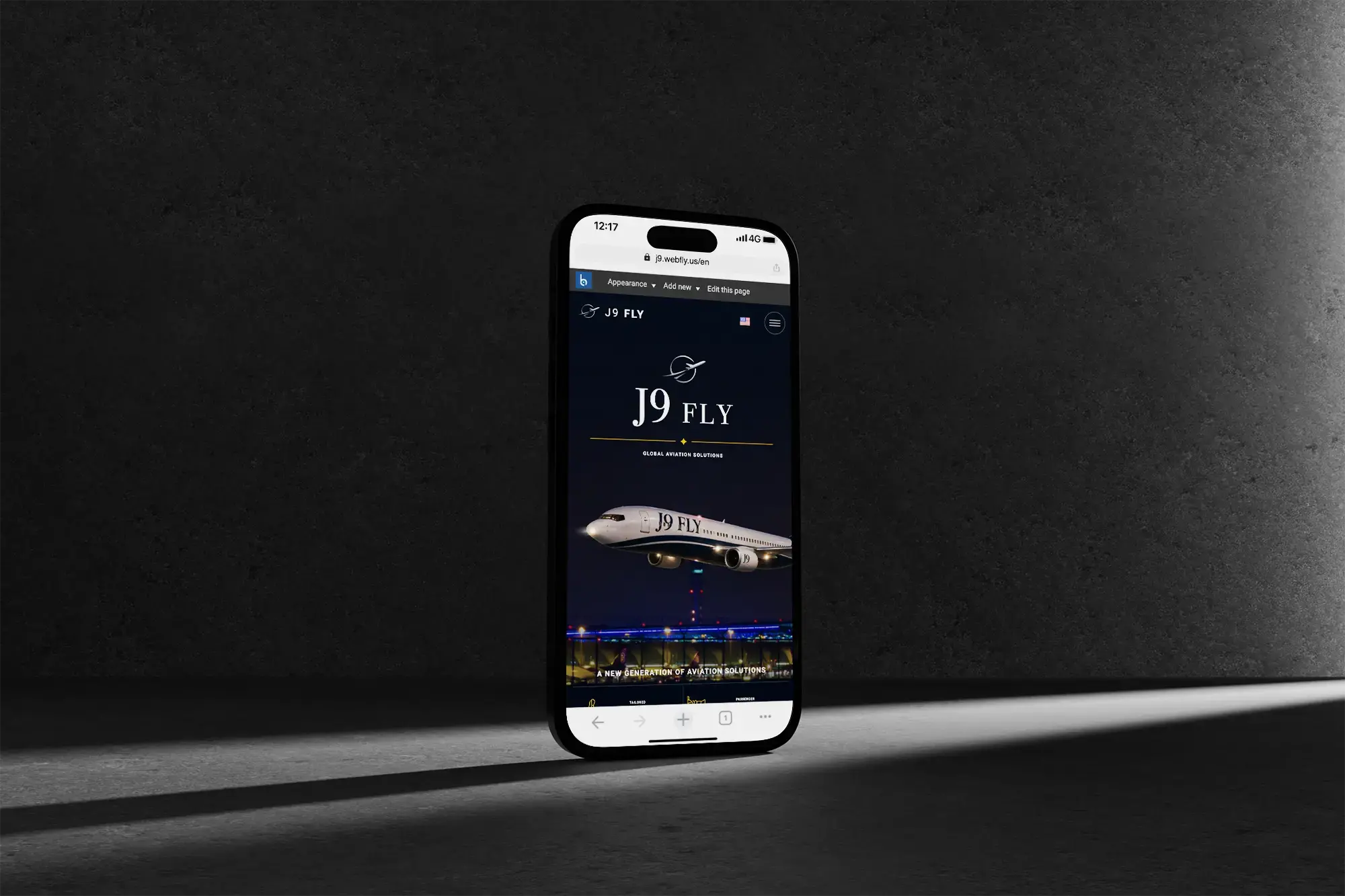 aviation website design